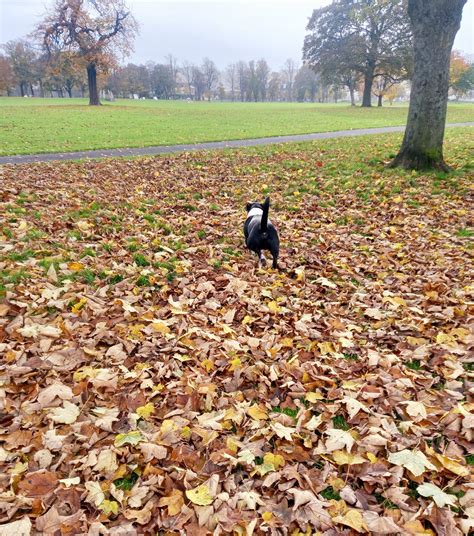 Off The Beaten Track... - Off The Beaten Track Peebles