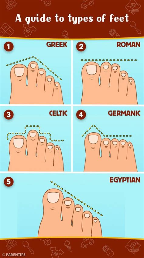 types  feet   artofit