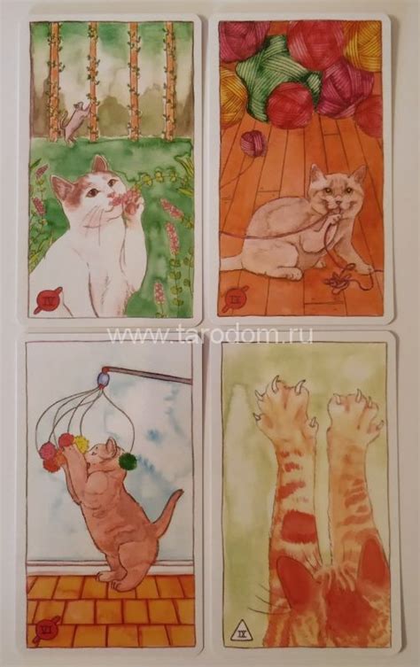 Cat Tarot - Таро Кота - Дом Таро