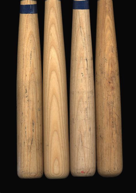 Hickory Tree Soil Requirements