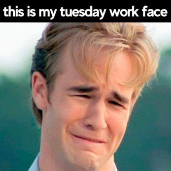 15 Hilariously Relatable Happy Tuesday Memes for Work (You NEED to See #7) - wt45ysz