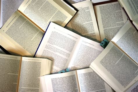 No books should be banned – Mountain Echo