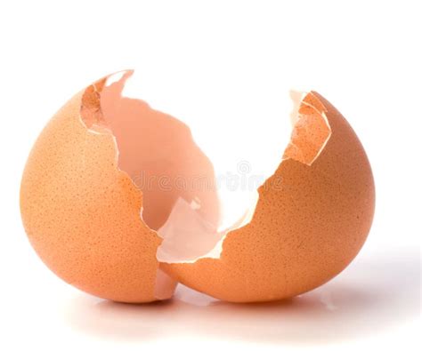 eggshell stock image image  fried cooking background