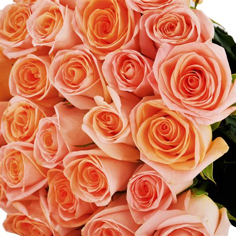 'Tiffany' Peach Roses The Rosarium - Premium Flower Delivery Vaughan