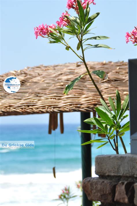 Photos of Agios Gordis Corfu | Pictures Agios Gordis Greece