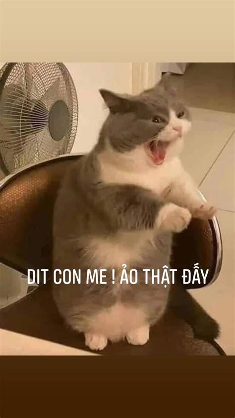 Among Us đội mũ cối hút tẩu thuốc lào - Ảnh Chế Meme