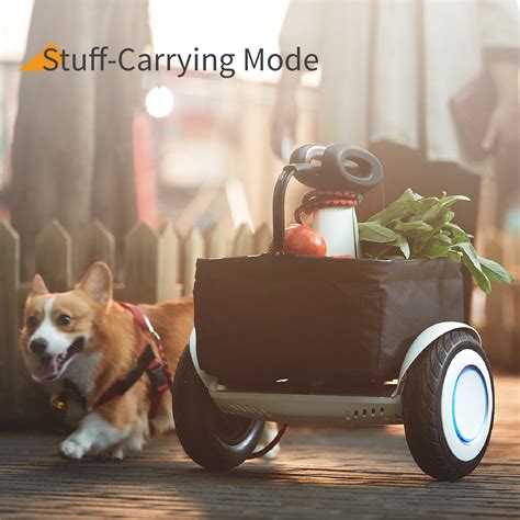The Xiaomi-Ninebot Mini S Plus - WalkSmart