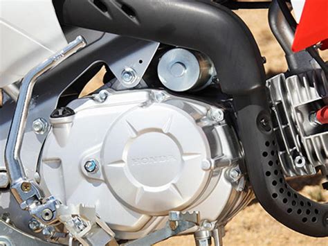 2015 Honda CRF110F - Gallery | Top Speed