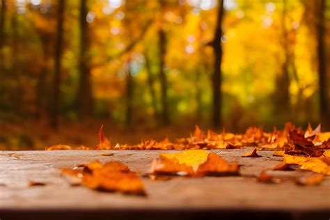 ways  relieve stress   fall season standup wireless