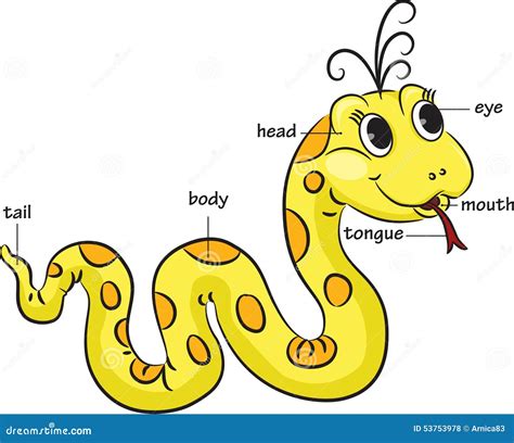 funny cartoon snake vocabulary  body parts stock vector