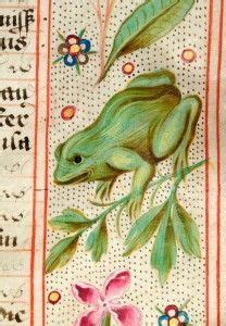 medieval art  frog sitting  top   piece  paper  flowers