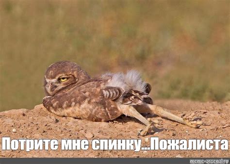 Мем: "Потрите мне спинку...Пожалиста" - Все шаблоны - Meme-arsenal.com