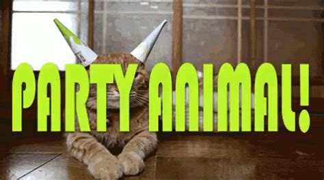 Party Animal GIF - PartyAnimal - Discover & Share GIFs