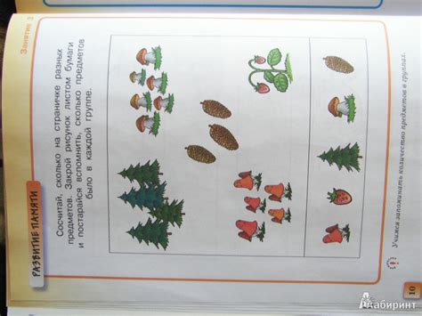 Книга: Грамотейка. Интеллектуальное развитие детей 4-5 лет. ФГОС ...