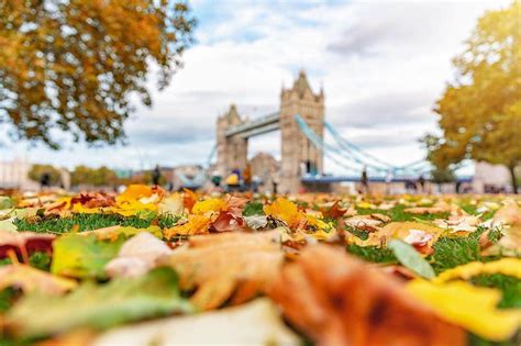 Instagrammable London: 18 Photos Of London Looking Awesome In The Autumn