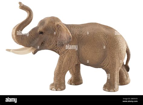 Toy elephant isolated on white. Grey toy plastic rubber elephant with ...