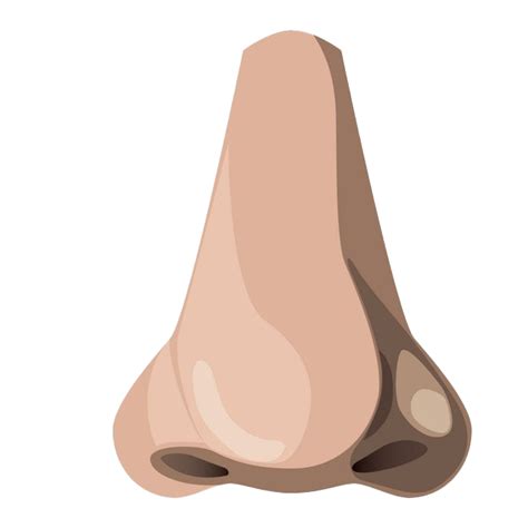 Nose PNG Transparent Images