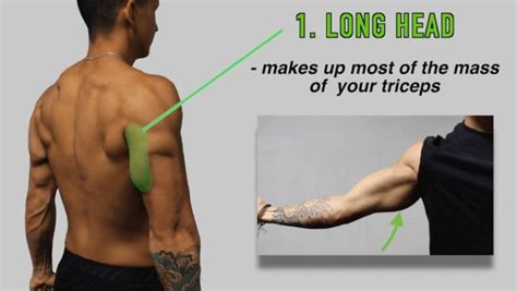 The Best Science-Based Tricep Exercises for Each Head (Work Your Weak ...