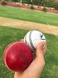 The History and Evolution of Cricket Equipment