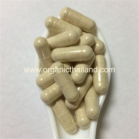 Pueraria Mirifica Capsule 1000Capsules - organicthailand