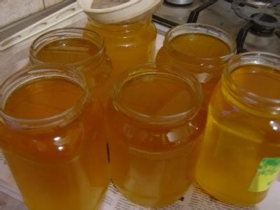 Топленое сливочное масло : Закуски и бутерброды