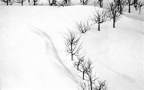 Snow White - Abbas Kiarostami - WikiArt.org