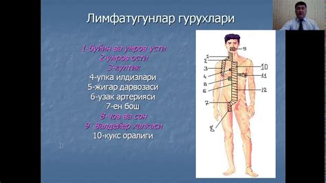 Лимфогранулематоз - YouTube