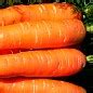 На развес Морковь "Без сердцевины" ТМ "Весна" цена за 10г купить почтой ...