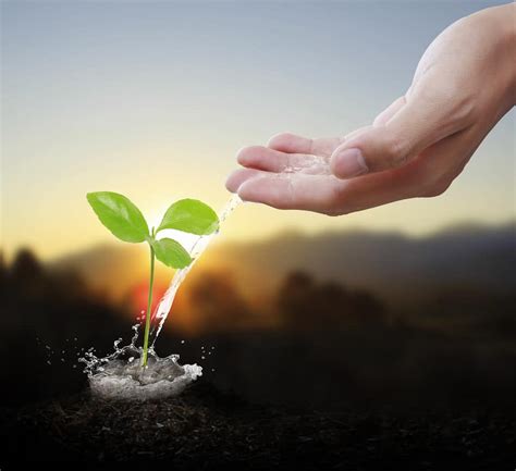 wsa  growing women speakers association