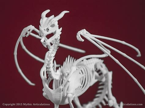 Mythic Articulations | Dragon skeleton. It’s like a wyvern, but with ...