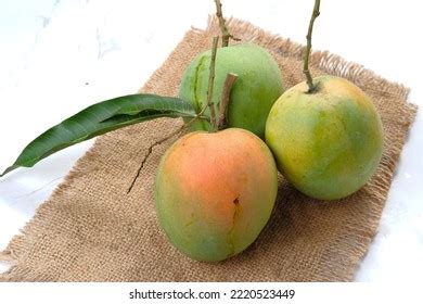 16,586 imágenes de Mango varieties - Imágenes, fotos y vectores de stock | Shutterstock