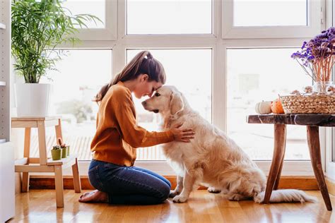 New dog owner: Start by meeting your dog's basic needs
