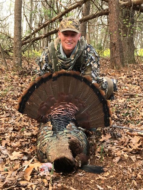 Wanna step outside? NC turkey hunters set another record with spring