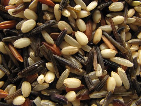 mixed rice  mix   varieties  rice long gr flickr