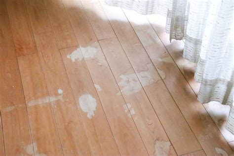 How to Remove White Water Stains on Wood Floors - WFC Wood Floor Cleaner