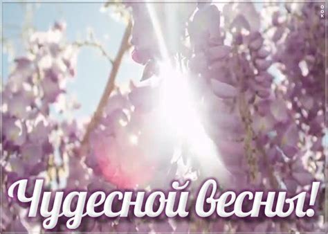 Открытка чудесной весны | Открытки Онлайн