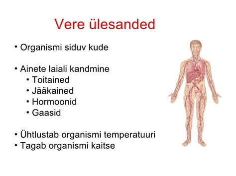 Vereringe