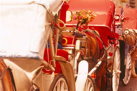 Horse Drawn Carriage Types | Animals - mom.me