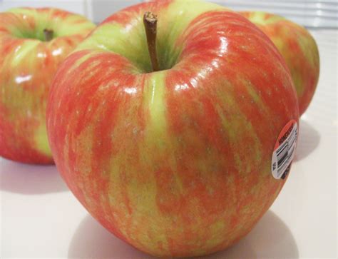 Honey Crisp Apples Eckert's at Jeremy Horton blog