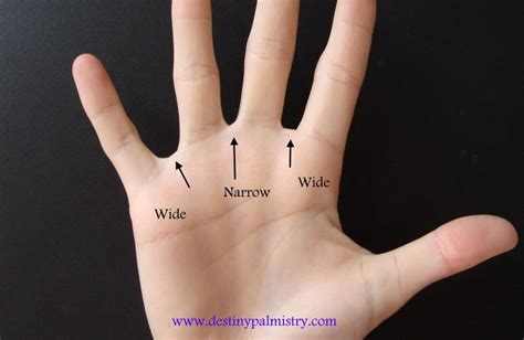 skin   fingers called