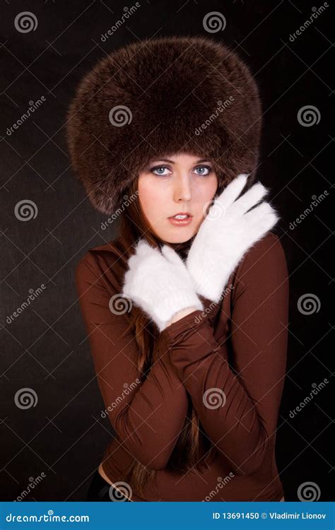 siberian beauty stock photo image  background