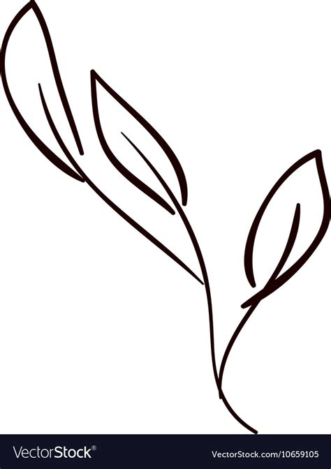 Leaf plant decoration design Royalty Free Vector Image
