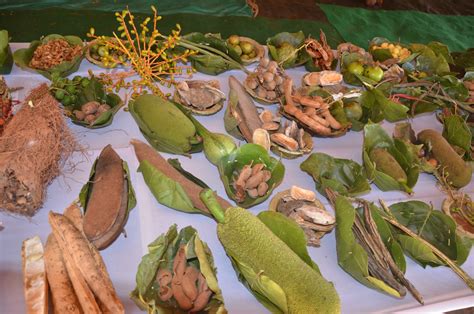 The Rich Diversity of Forest Foods - Vikalp Sangam