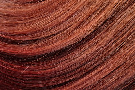 hair color theory  salonory studio