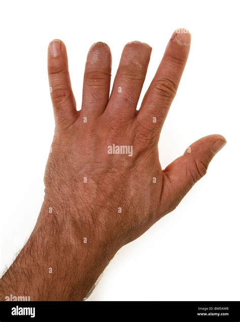 missing fingers  res stock photography  images alamy