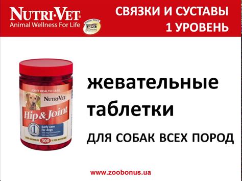 NUTRIVET - профессиональные добавки для собак и котов - YouTube