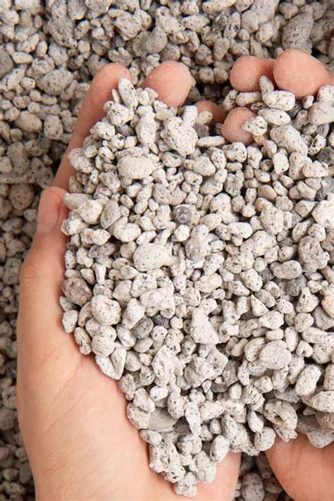 Horticultural Pumice – Joes Landscaping Supplies, 40% OFF