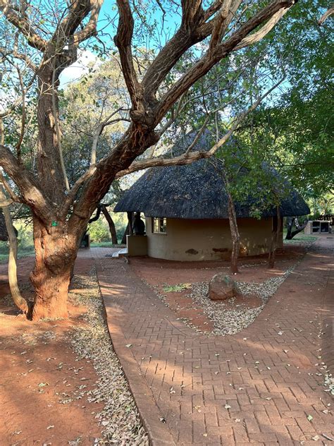 Kruger National Park Archives | Travel Buddies Lifestyle Blog