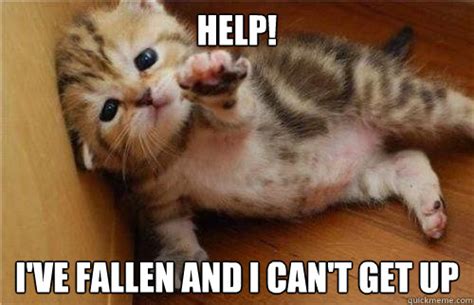 Help! I've fallen and I can't get up - Misc - quickmeme