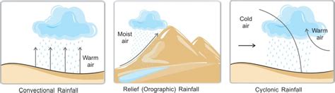 Cyclonic Precipitation Diagram